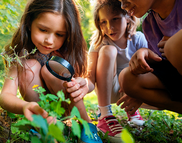 Pós-Graduação em Metodologia do Ensino de Ciências Naturais